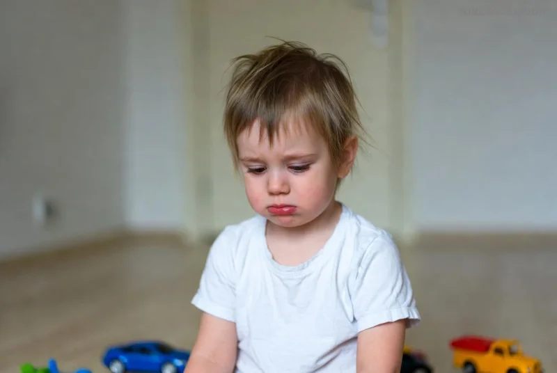 Advanced PECS: Child building sentences with picture cards